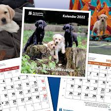 bilden visar SRF valpkalender bilden smboliserar vårat kalendarium